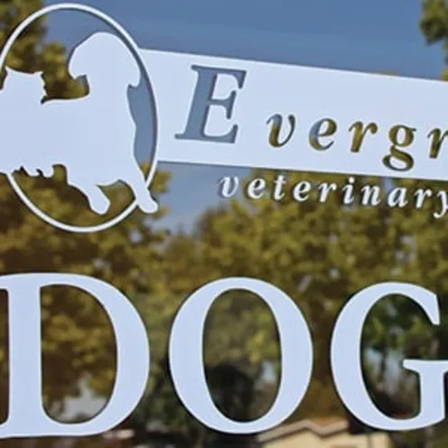 Evergreen vet clinic and dog sign on glass